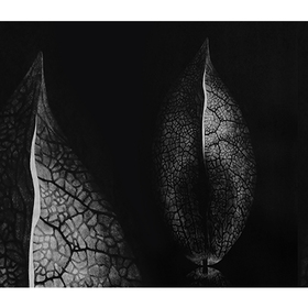 344579773-612307217479663-1235228751937114414-n_280x280_crop_478b24840a