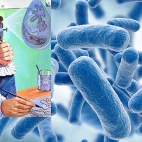 207266a2a4d1193bbc2ea57214969d50_280x280_crop_478b24840a