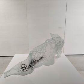 371859348-251404771200946-4987090500560789614-n_280x280_crop_478b24840a