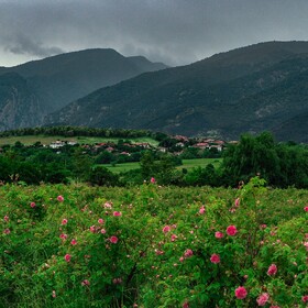 dolinata_280x280_crop_478b24840a