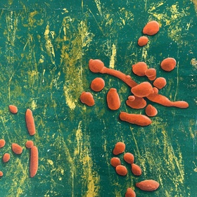 img-5759_280x280_crop_478b24840a