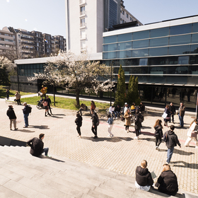 p3877142-copy_280x280_crop_478b24840a