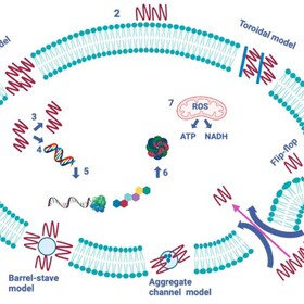 sachanska_280x280_crop_478b24840a