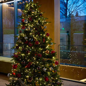 koledna-ukrasa-nbu-2025-ip-3_280x280_crop_478b24840a