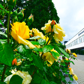 1333559-copy_280x280_crop_478b24840a