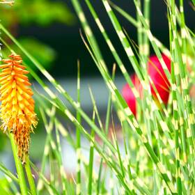 1366838_280x280_crop_478b24840a