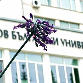 1366862_280x280_crop_478b24840a