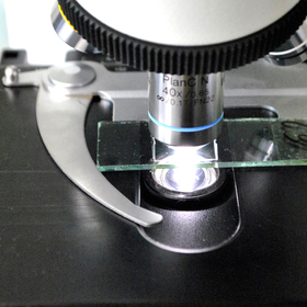 dsc0128_280x280_crop_478b24840a