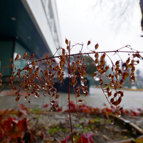 2088838_280x280_crop_478b24840a