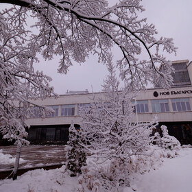 2455131_280x280_crop_478b24840a