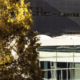 2488477-copy_280x280_crop_478b24840a