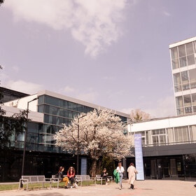 2544042_280x280_crop_478b24840a