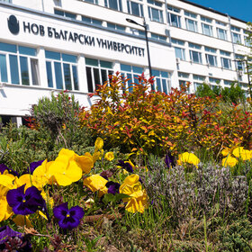 2566413_280x280_crop_478b24840a