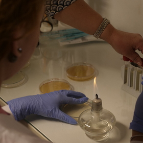 1500673_280x280_crop_478b24840a