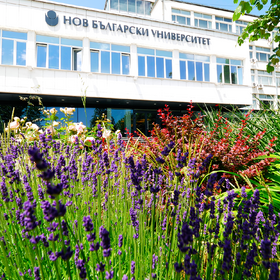 1811697_280x280_crop_478b24840a