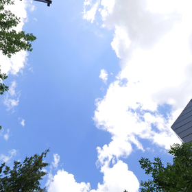 1833169-copy_280x280_crop_478b24840a