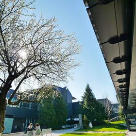 p1111318_280x280_crop_478b24840a