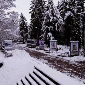 2455239_280x280_crop_478b24840a