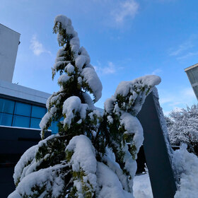 2455372_280x280_crop_478b24840a