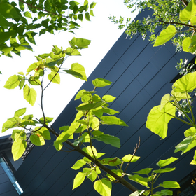 dsc-4636_280x280_crop_478b24840a