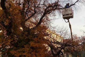 44_300x200_crop_478b24840a