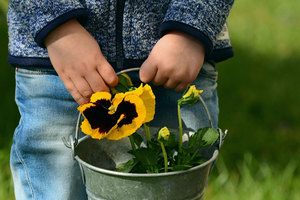 obshtinata-s-burza-pista_300x200_crop_478b24840a