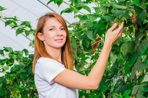 maq-qneva-agri-bg_300x200_crop_478b24840a