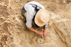 archeologist-yourfreecareertest-com_300x200_crop_478b24840a