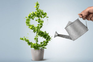 plant-studyaboard_300x200_crop_478b24840a