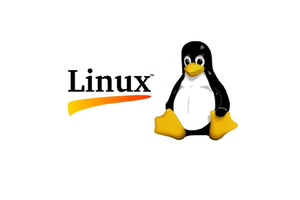 linux-site_300x200_crop_478b24840a