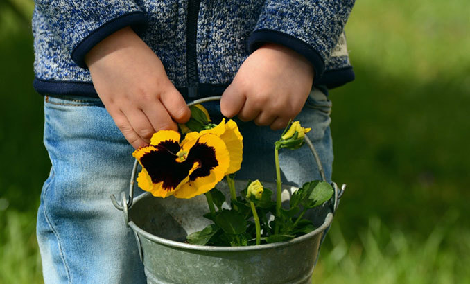 obshtinata-s-burza-pista_678x410_crop_478b24840a