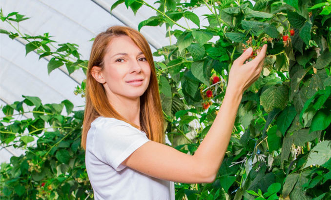 maq-qneva-agri-bg_678x410_crop_478b24840a