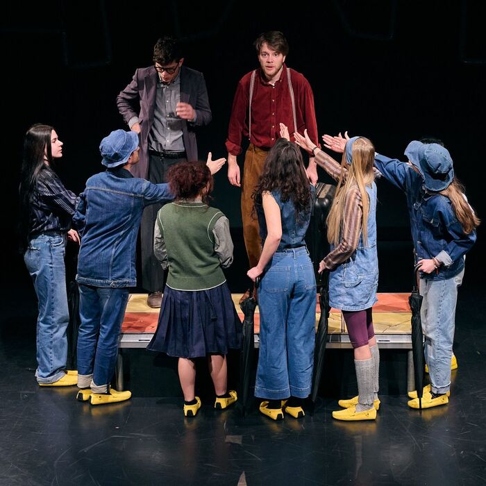 starata-dama_700x700_pad_478b24840a