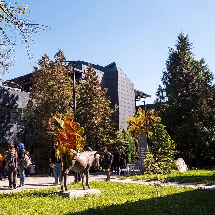 galeria-uniart_700x700_fit_478b24840a