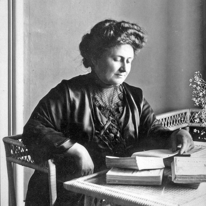 mariq-montesori-europeana-eu_700x700_fit_478b24840a