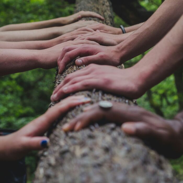 socialna-rabota-unsplash_700x700_fit_478b24840a