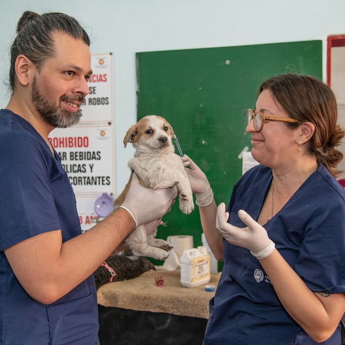 veterinar-unsplash_700x700_fit_478b24840a