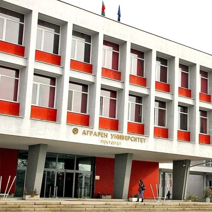 au-v-marica_700x700_pad_478b24840a