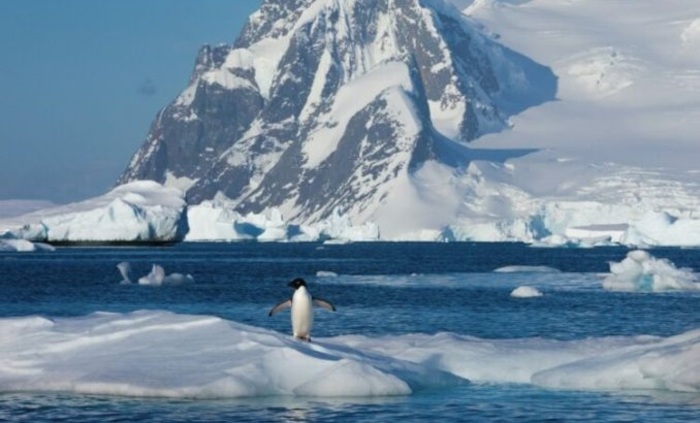 antarktida-esgnews-bg_700x700_fit_478b24840a