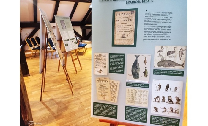 riben-bukvar-pronewsdobrich-bg_700x700_fit_478b24840a