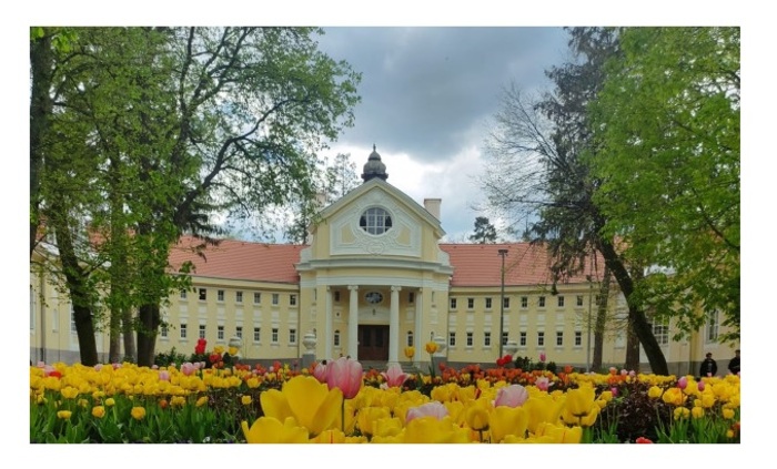 bankia-fokus_700x700_fit_478b24840a