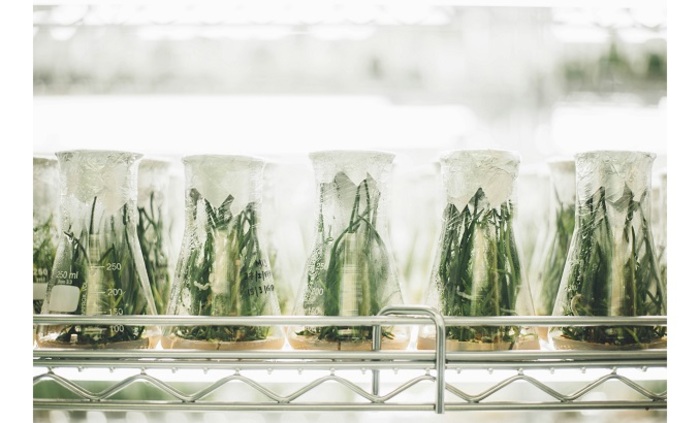 34-unsplash_700x700_fit_478b24840a