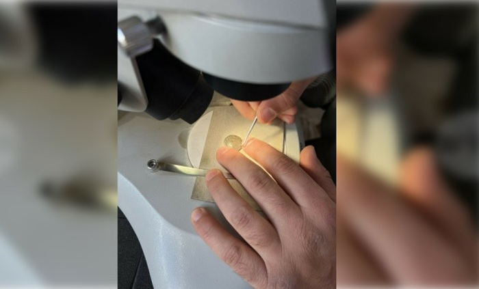 rimska-bronzova-moneta-bta_700x700_fit_478b24840a