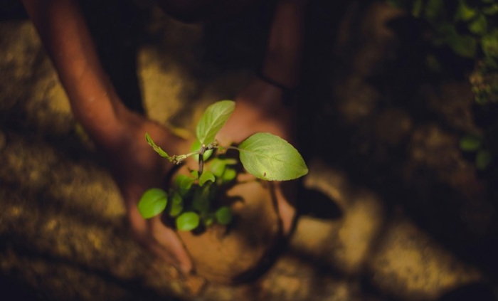 kasturi-laxmi-mohit-uv6l-uo-nd19w-unsplash_700x700_fit_478b24840a