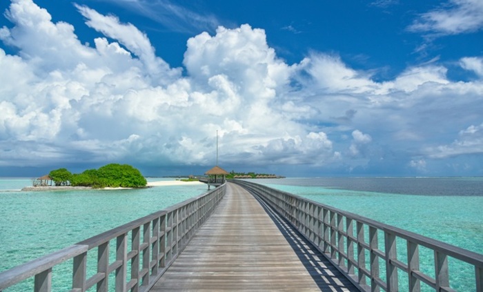 ali-maah-zy-oe-em4-ns-pm-unsplash_700x700_fit_478b24840a