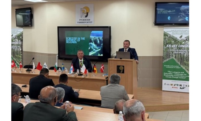 030-v-24-chasa_700x700_fit_478b24840a