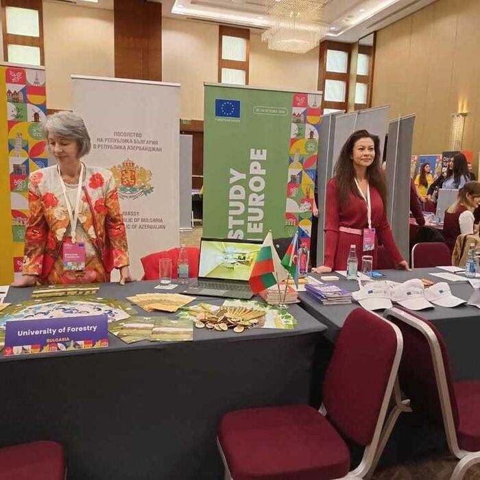 041-bta_700x700_fit_478b24840a