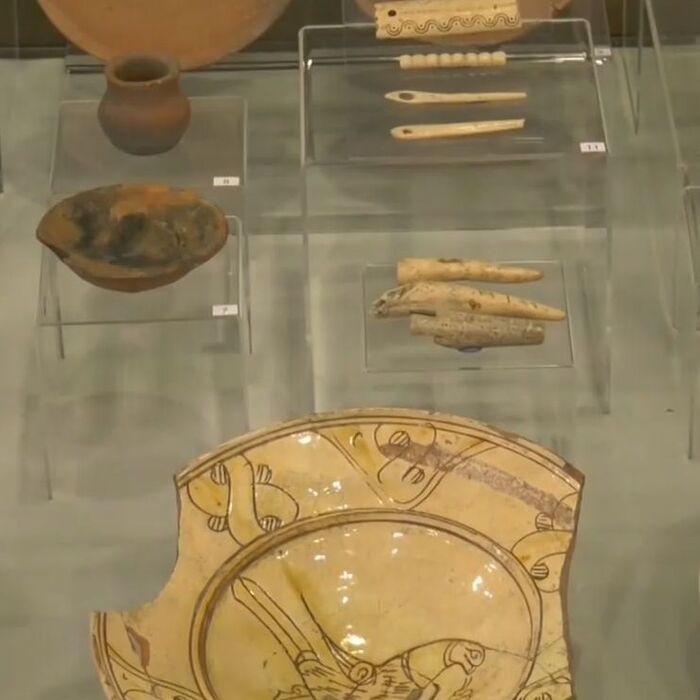 018-bnt_700x700_fit_478b24840a