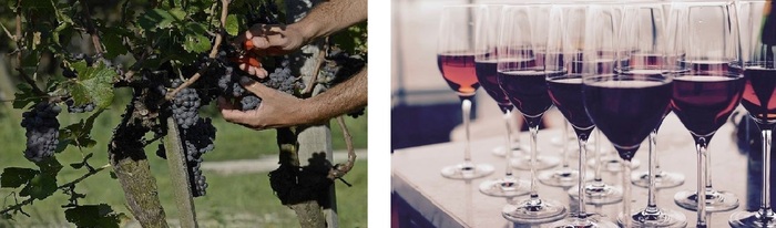 2_700x700_fit_478b24840a