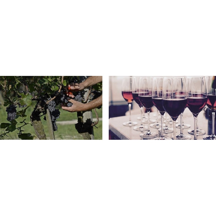 2_700x700_pad_478b24840a